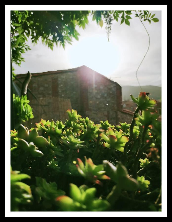 La Belle D'Ame - Guest House Prades  Exterior photo